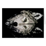 Grey Wolf cards