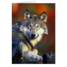 Grey Wolf, Endangered Species Digital Photography Greeting Card