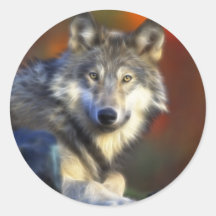 Grey Wolf, Endangered Species Digital Photography Round Sticker