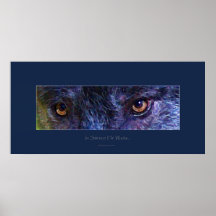 Grey Wolf Eyes II Art Poster