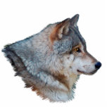 GREY WOLF HEAD Wildlife Art Sculpted Gift Item photo sculptures