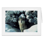 Grey Wolf In Snow Photo Card