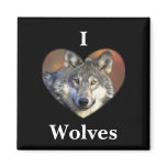 Grey Wolf magnets