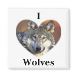 Grey Wolf magnets