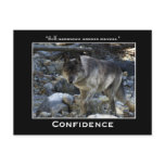 Grey Wolf Motivational Postcards