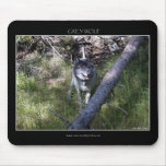 GREY WOLF Mousepad