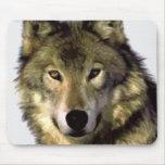 Grey Wolf mousepads