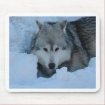 Grey wolf mousepads