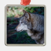 Grey Wolf Ornament