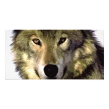 Grey Wolf Photo Card Template