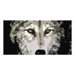 Grey Wolf photo cards