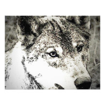 Grey Wolf Portrait Custom Announcement