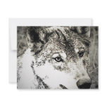 Grey Wolf Portrait invitations