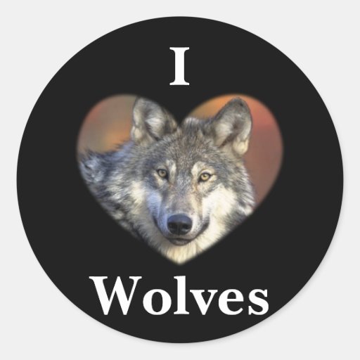 Grey Wolf Round Sticker Zazzle