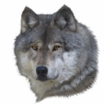 GREY WOLF (sculpted) Wildlife Magnet photo sculptures