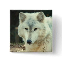 Grey Wolf Square Pin
