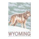 Grey Wolf StandingWyoming Canvas Print