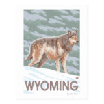 Grey Wolf StandingWyoming Postcards