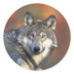 Grey Wolf stickers