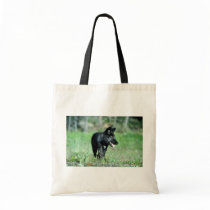 Grey Wolf-summer-(black-phase) cub Tote Bag