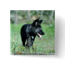 Grey Wolf-summer-(black-phase) cub Pin