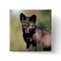 Grey Wolf-summer-(black-phase) cub Pin