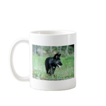 Grey Wolf-summer-(black-phase) cub Mug
