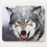 Grey Wolf Teeth Mouse Pad