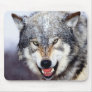 Grey Wolf Teeth Mouse Pad