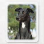 Greyhound 9R022-146 mousepads