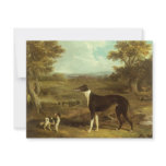 Greyhound and Spaniel; Doctor Fop by Herring invitations