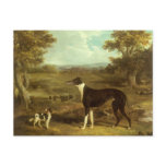 Greyhound and Spaniel; Doctor Fop by Herring postcards