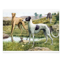 Greyhound Announcements