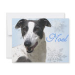 Greyhound Black & White Noel2 invitations