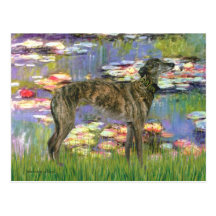 Greyhound (br8) - Lilies 2 Post Cards