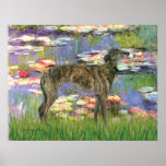Greyhound (br8) - Lilies 2 Print