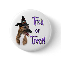 Greyhound (brindle) Trick