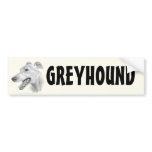 Greyhound