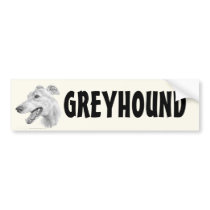 Greyhound