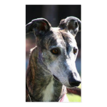 Greyhound business cards