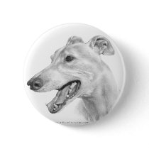 Greyhound