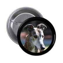 Greyhound button