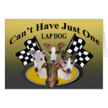 Greyhound Can't Have Just One lapdog card