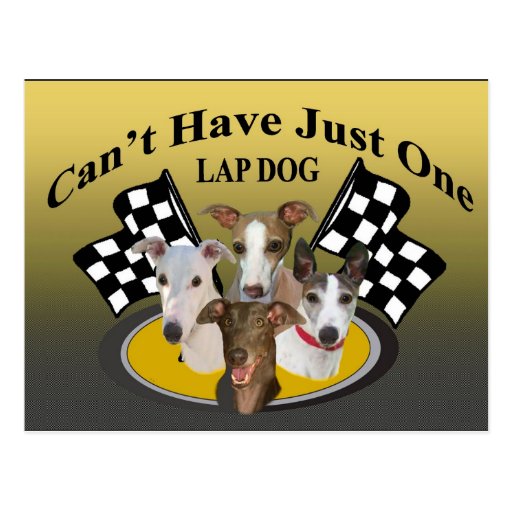 Greyhound Can't Have Just One Lapdog Post Card