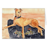 'Greyhound' Card