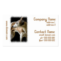 Greyhound Dog Business Cards