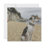 Greyhound Dog Invitation