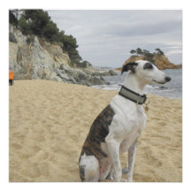 Greyhound Dog Invitation