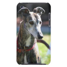 Greyhound dog iPod touch covers