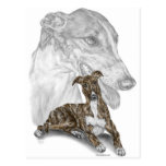 Greyhound Dog Portrait Art Postcards